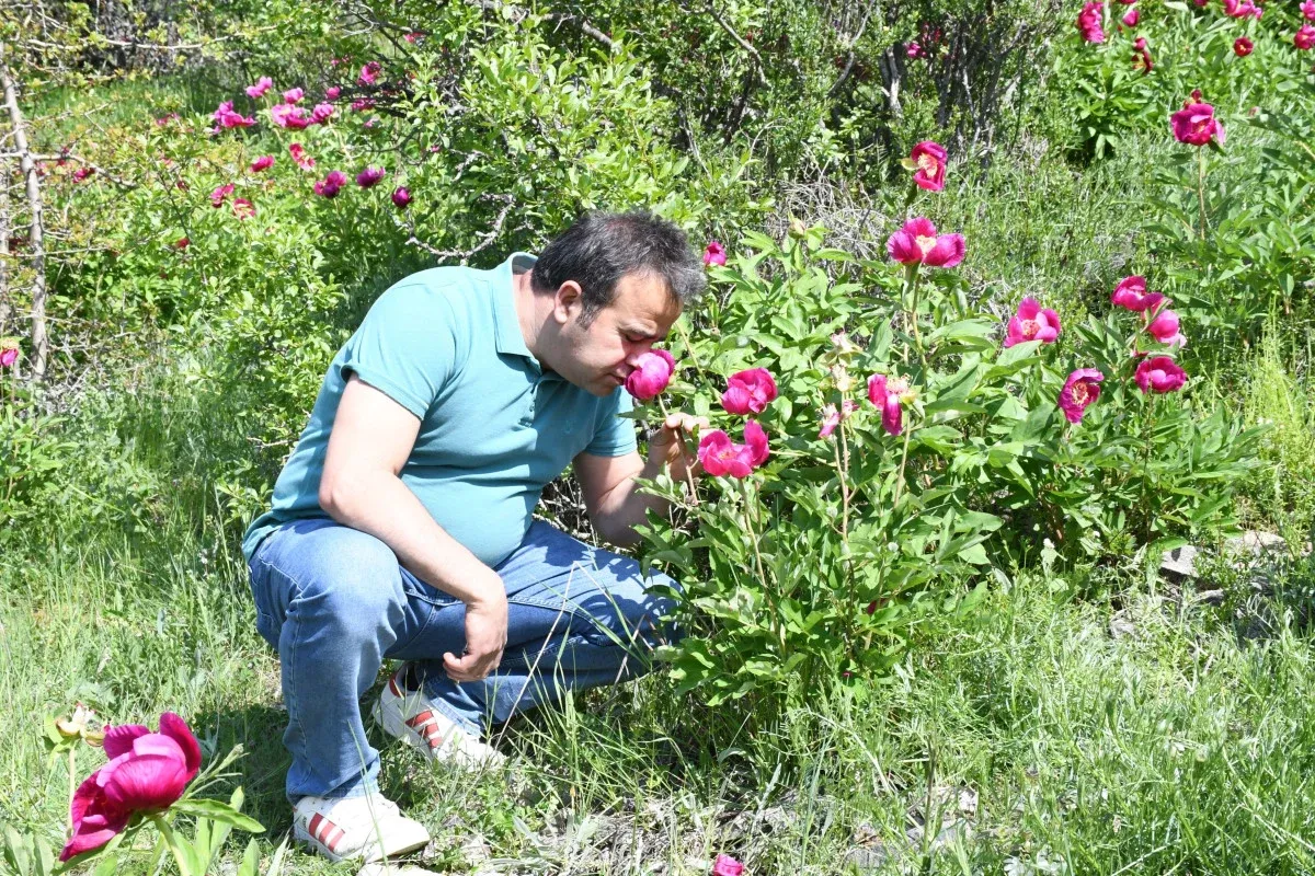 682c4d88d5ba5907__w1200xh800.webp