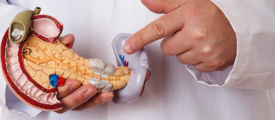 ENDOKRIN-PANKREAS-TUMORLERININ-CESITLERI.jpg