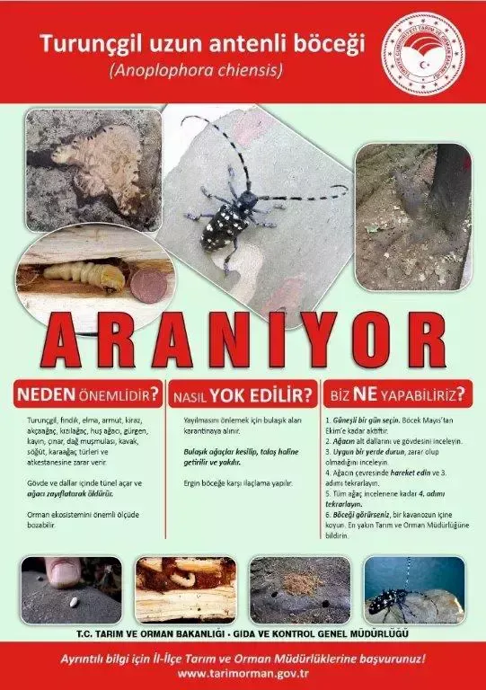 bakanlik-kirmizi-bulten-ile-uyardi-23-agac-18495866_1044_m.webp