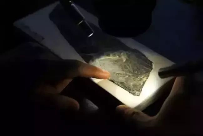 150 Milyon Yıllık Kuş Fosili Bulundu!