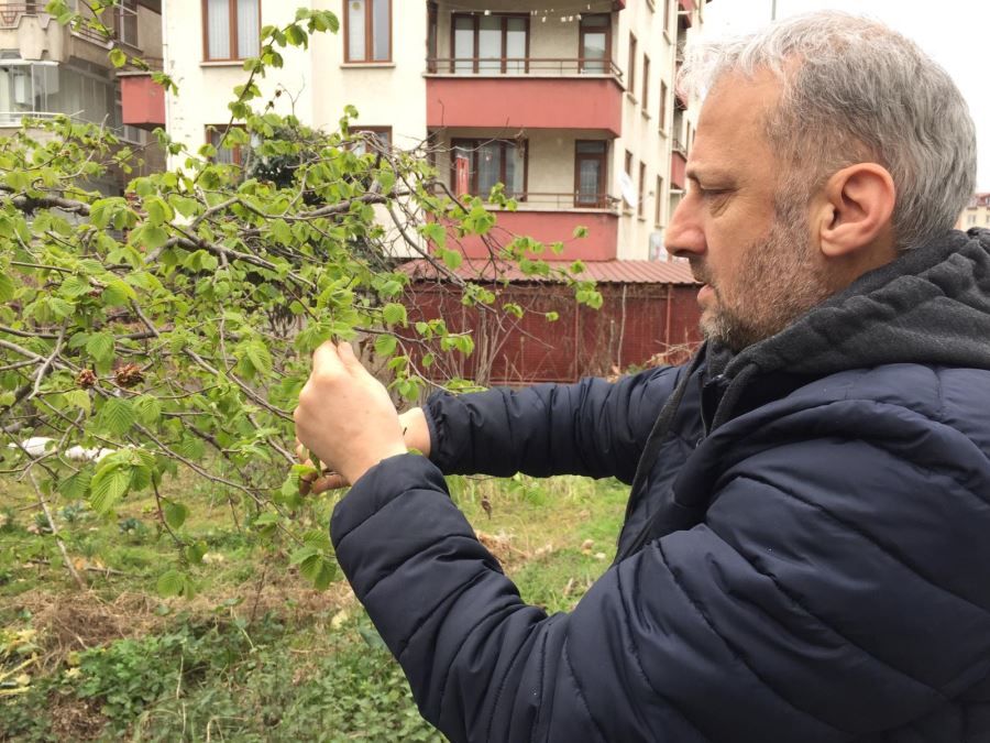 haluk-sensoy