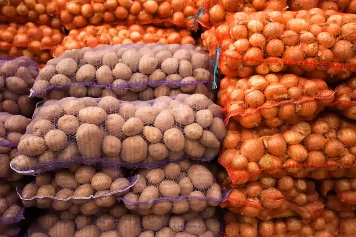 2 bin 500 Ton Patates Türkiye'ye Geri Gönderildi!