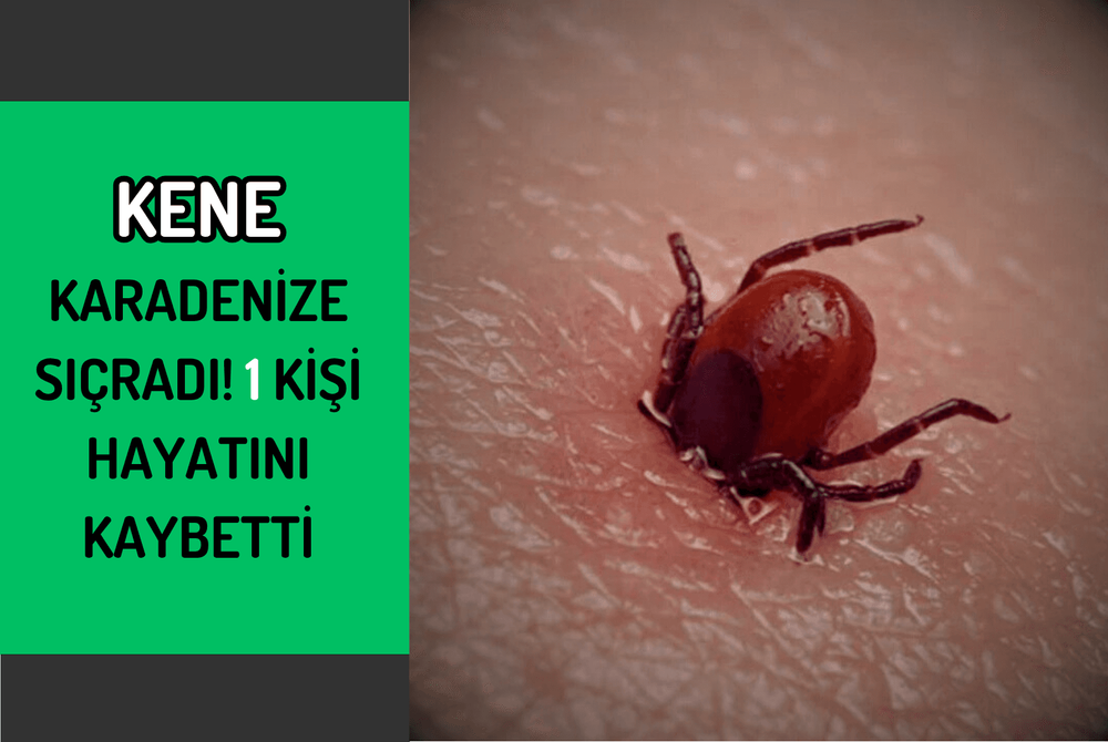 Kene Karadenize Sıçradı! 1 Kişi Hayatını Kaybetti