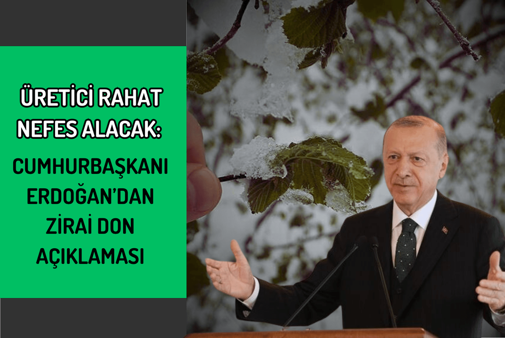 Üretici Rahat Nefes Alacak: Cumhurbaşkanı Erdoğan’dan Zirai Don Açıklaması
