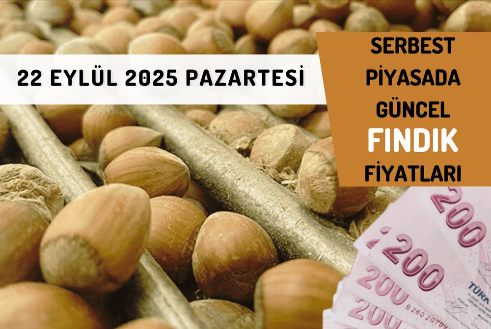 Serbest Piyasada Güncel FINDIK Fiyatları! 22  EYLÜL 2025 PAZARTESİ