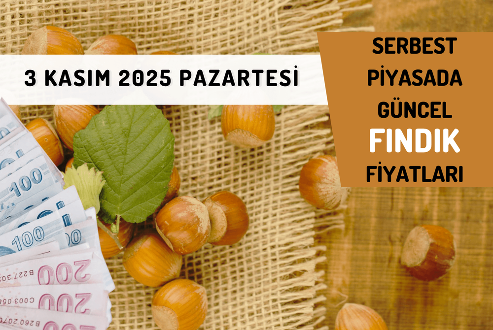 Serbest Piyasada Güncel FINDIK Fiyatları! 3 KASIM 2025 PAZARTESİ