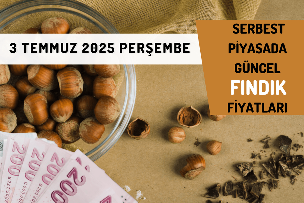 Serbest Piyasada Güncel FINDIK Fiyatları! 3 TEMMUZ 2025 PERŞEMBE