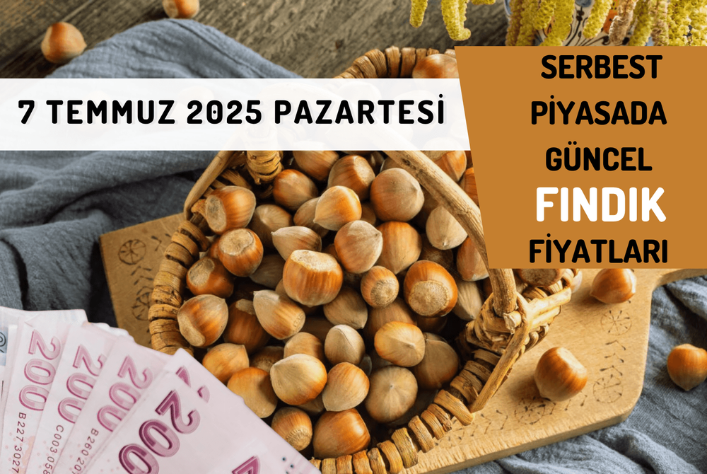 Serbest Piyasada Güncel FINDIK Fiyatları! 7 TEMMMUZ 2025 PAZARTESİ