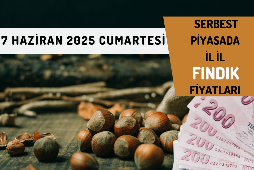 Serbest Piyasada il il  FINDIK Fiyatları! 7 HAZİRAN 2025 CUMARTESİ 