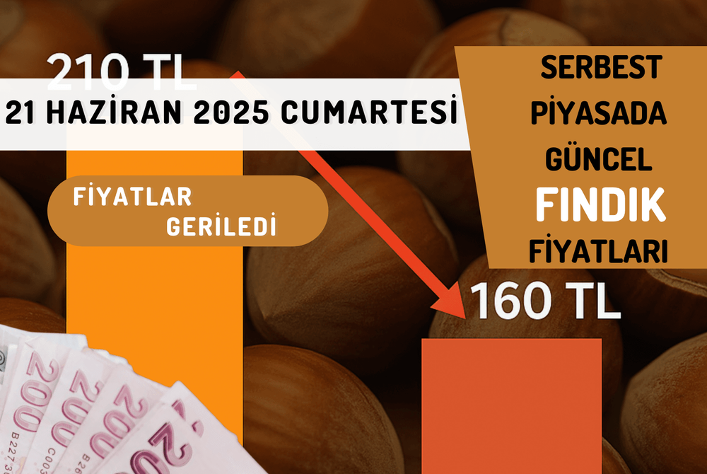 Serbest Piyasada Güncel FINDIK Fiyatları! 21 HAZİRAN 2025 CUMARTESİ