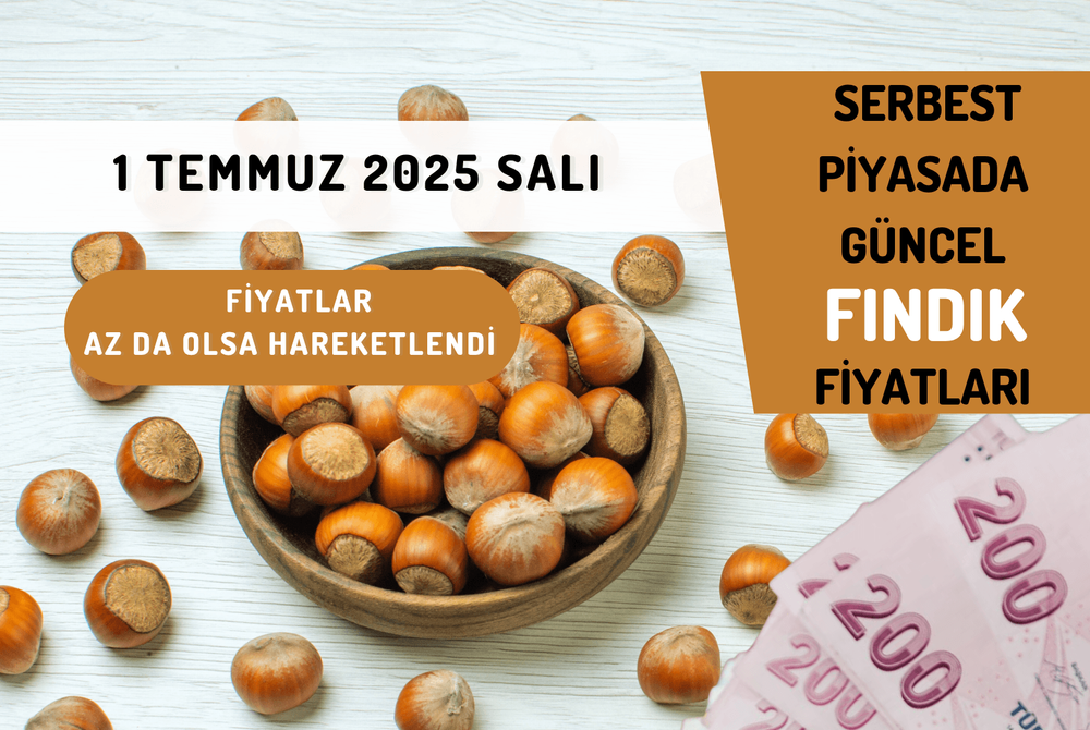 Serbest Piyasada Güncel FINDIK Fiyatları! 1 TEMMUZ 2025 SALI