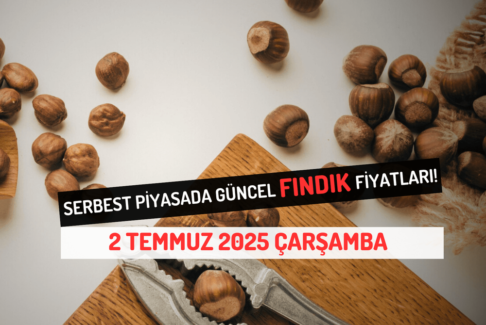 Serbest Piyasada Güncel FINDIK Fiyatları! 2 TEMMUZ 2025 ÇARŞAMBA