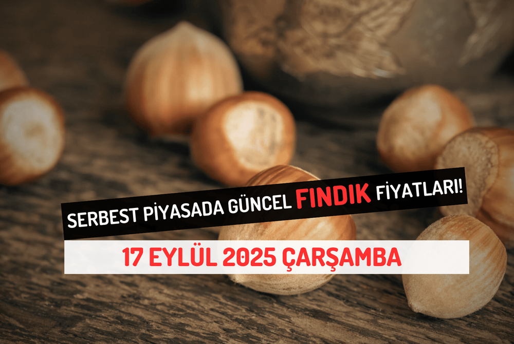 Serbest Piyasada Güncel FINDIK Fiyatları! 17 EYLÜL 2025 ÇARŞAMBA