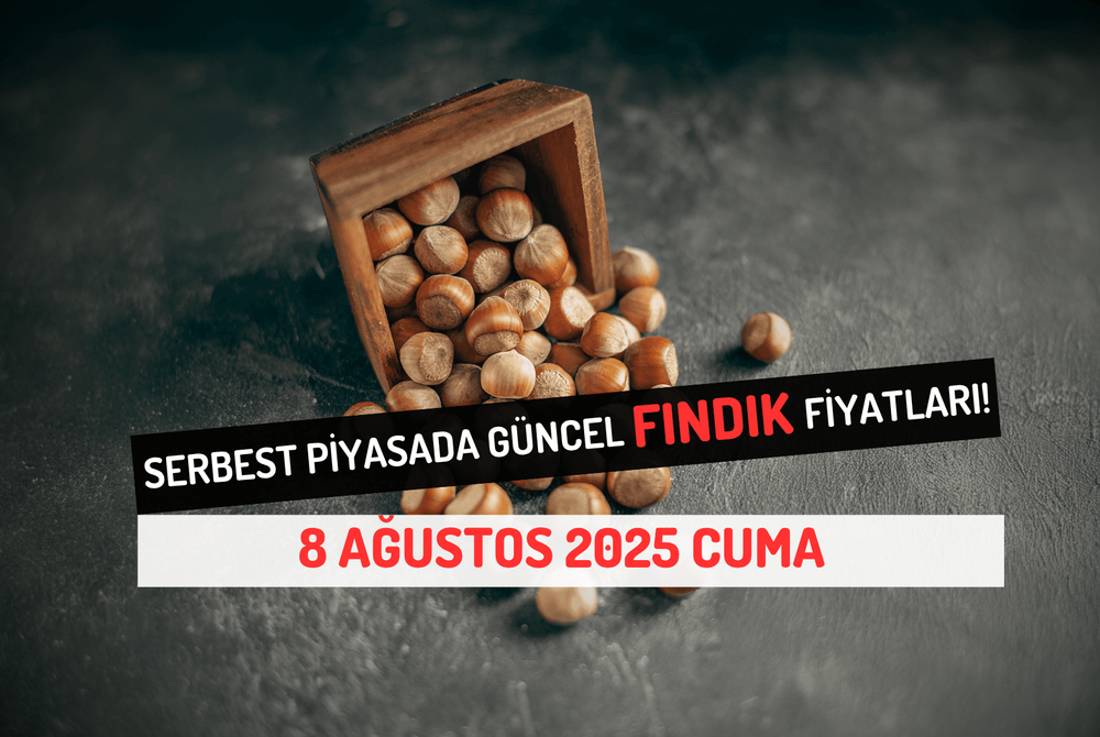 Serbest Piyasada Güncel FINDIK Fiyatları! 8 AĞUSTOS 2025 CUMA