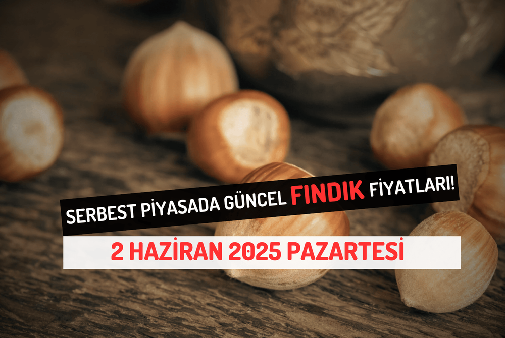 Serbest Piyasada Güncel FINDIK Fiyatları! 2 HAZİRAN 2025 PAZARTESİ