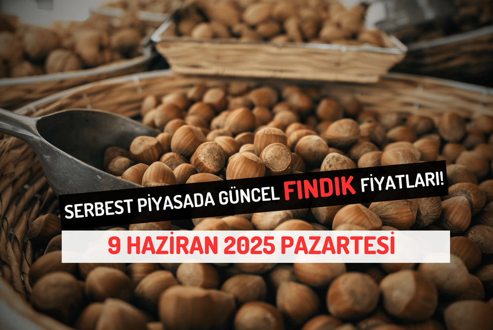 Serbest Piyasada Güncel FINDIK Fiyatları! 9 HAZİRAN 2025 PAZARTESİ