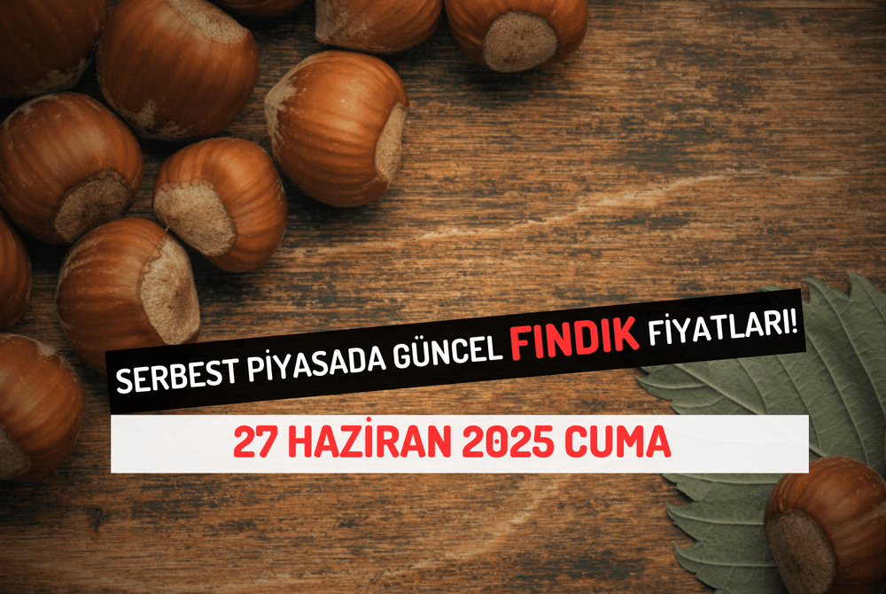 Serbest Piyasada Güncel FINDIK Fiyatları! 27 HAZİRAN 2025 CUMA