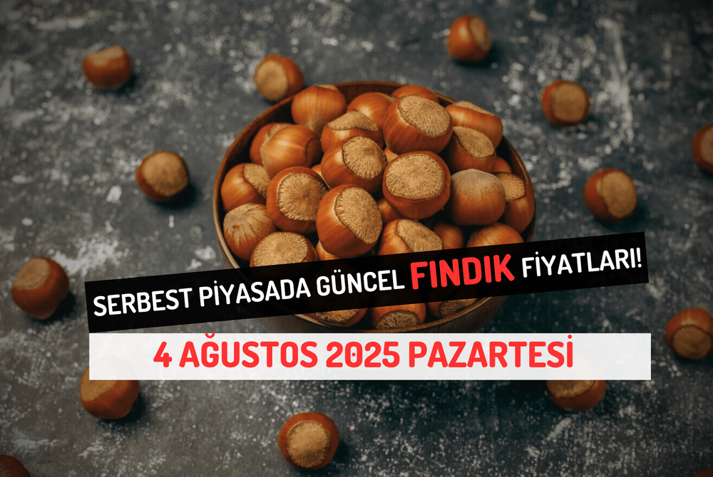 Serbest Piyasada Güncel FINDIK Fiyatları! 4 AĞUSTOS 2025 PAZARTESİ