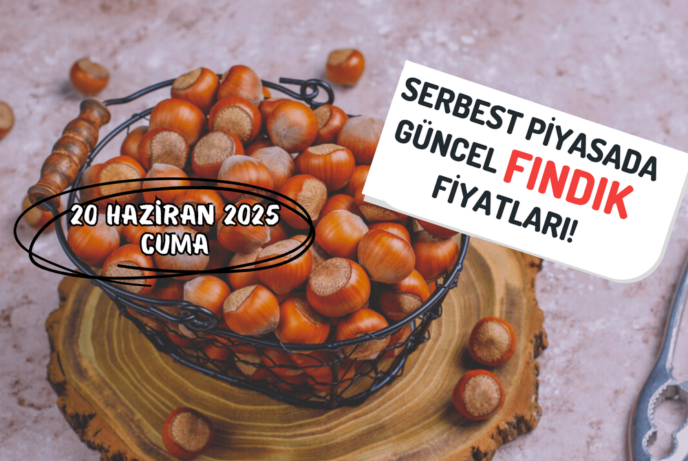 Serbest Piyasada Güncel FINDIK Fiyatları! 20 HAZİRAN 2025 CUMA