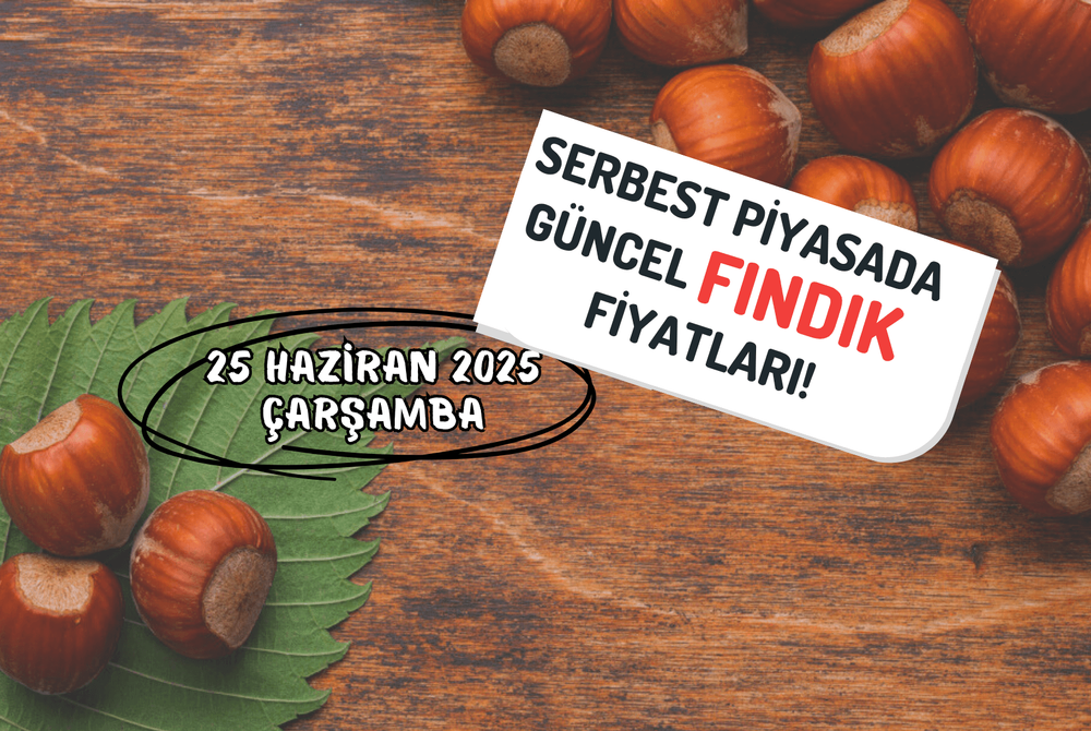 Serbest Piyasada Güncel FINDIK Fiyatları! 25 HAZİRAN 2025 ÇARŞAMBA
