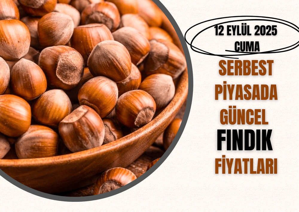 Serbest Piyasada Güncel FINDIK Fiyatları! 12 EYLÜL 2025 CUMA