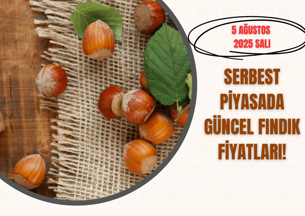 Serbest Piyasada Güncel FINDIK Fiyatları! 5 AĞUSTOS 2025 SALI