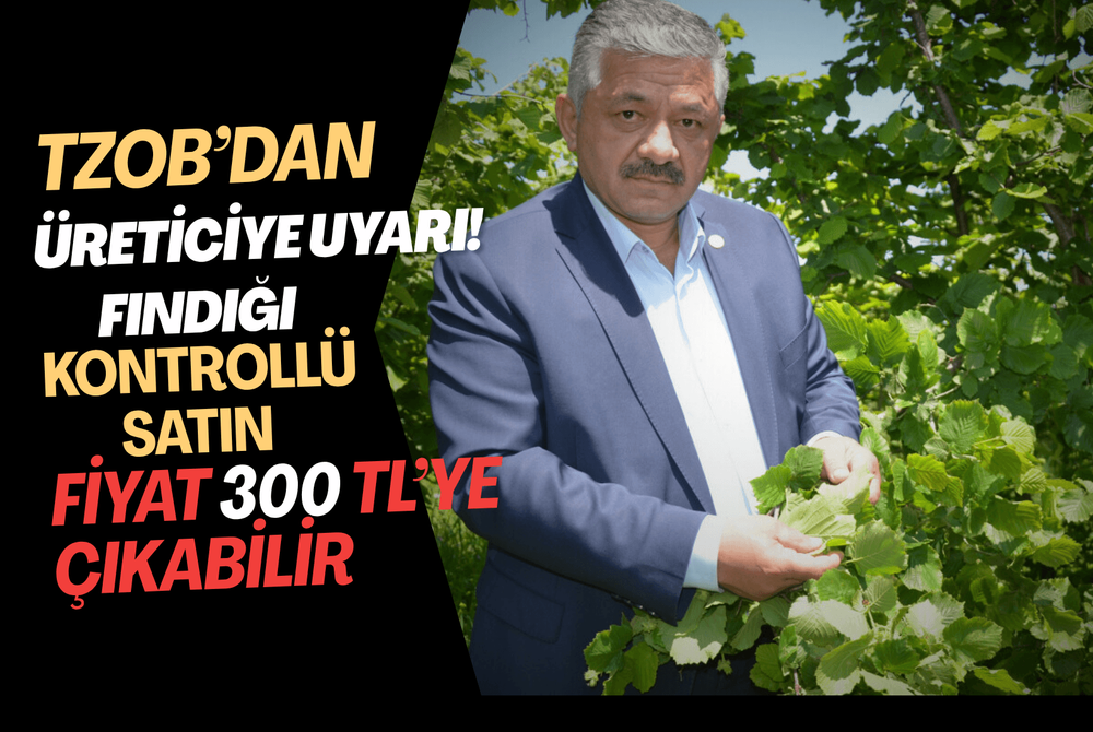 TZOB’dan Üreticiye Uyarı: “Fındığı Kontrollü Satın, Fiyat 300 TL’ye Çıkabilir”