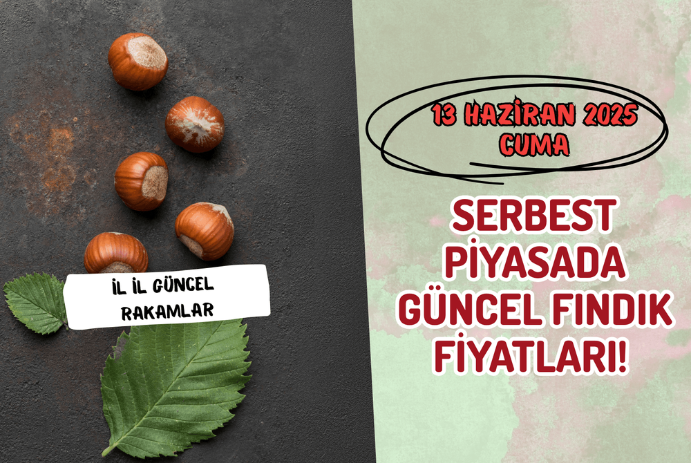 Serbest Piyasada Güncel FINDIK Fiyatları! 13 HAZİRAN 2025 CUMA