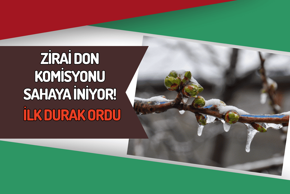 Zirai Don Komisyonu Sahaya İniyor!İlk Durak Ordu