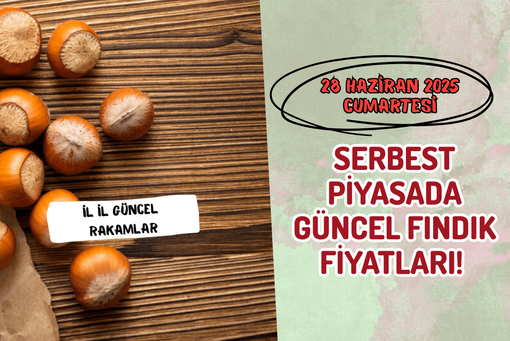 Serbest Piyasada Güncel FINDIK Fiyatları! 28 HAZİRAN 2025 CUMARTESİ