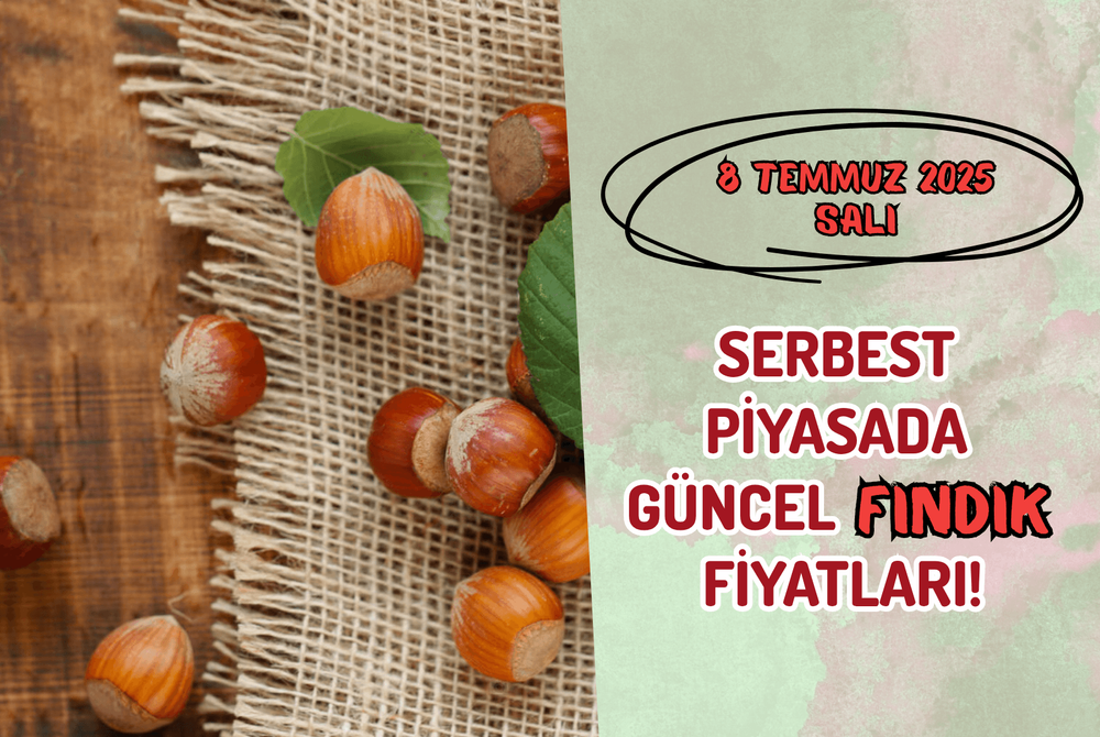 Serbest Piyasada Güncel FINDIK Fiyatları! 8 TEMMUZ 2025 SALI