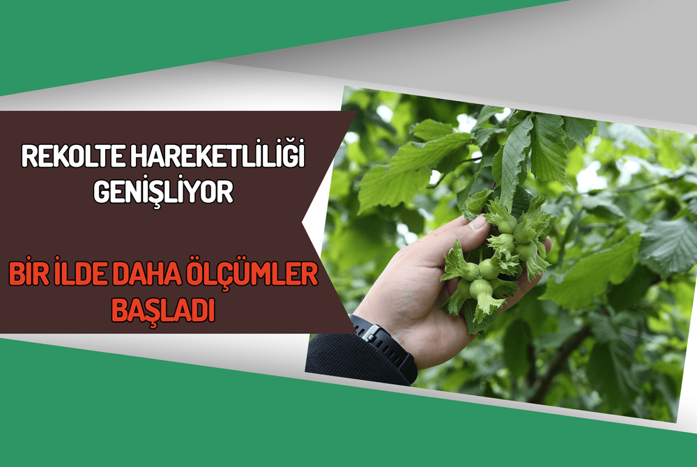 Rekolte Hareketliliği Genişliyor: Bir İlde Daha Ölçümler Başladı