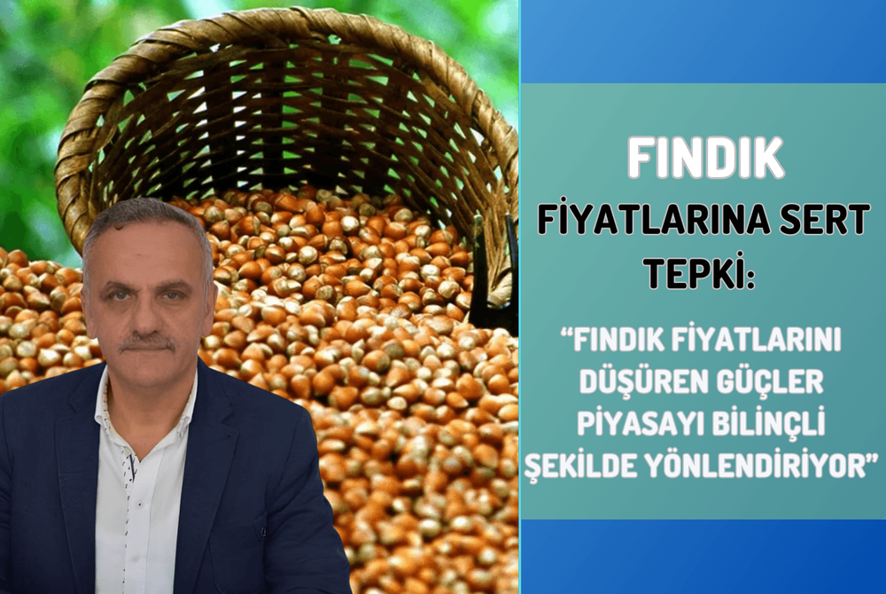 Fındık Fiyatlarına Sert Tepki: “Fındık Fiyatlarını Düşüren Güçler Piyasayı Bilinçli Şekilde Yönlendiriyor”