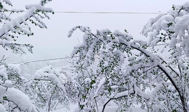 30 cm Kar Bekleniyor, Üreticiler Dikkat!
