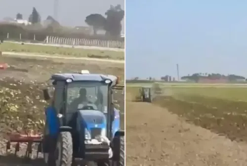 Maliyeti Karşılamıyor Diye 100 Dönüm Ekili Tarlayı İmha Etti!!