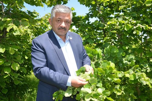Arslan Soydan: “Ferrero Türk Fındığını Almazsa Fabrikasına Kilit Vurması Gerekir”