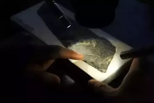 150 Milyon Yıllık Kuş Fosili Bulundu!