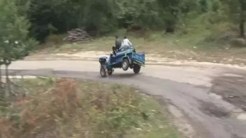 PatPat Uçurumdan Yuvarlandı!
