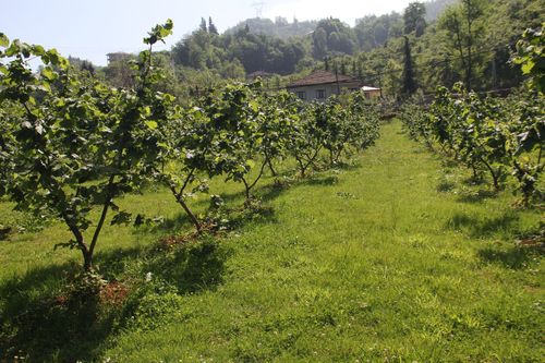 Çamaş TMO deposunda alım süreci ve üretici sorunları incelendi